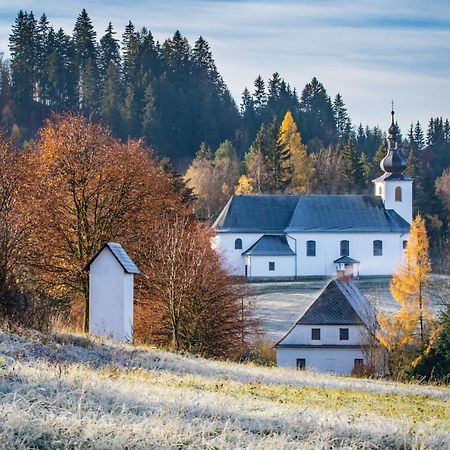 Appartamento U Staré hájenky Jindrichov Esterno foto