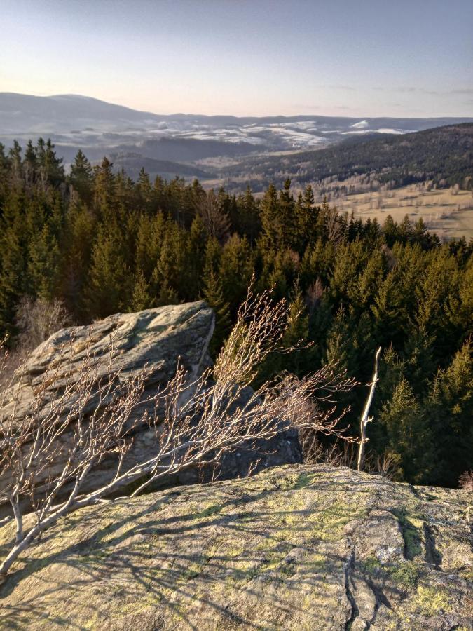 Appartamento U Staré hájenky Jindrichov Esterno foto