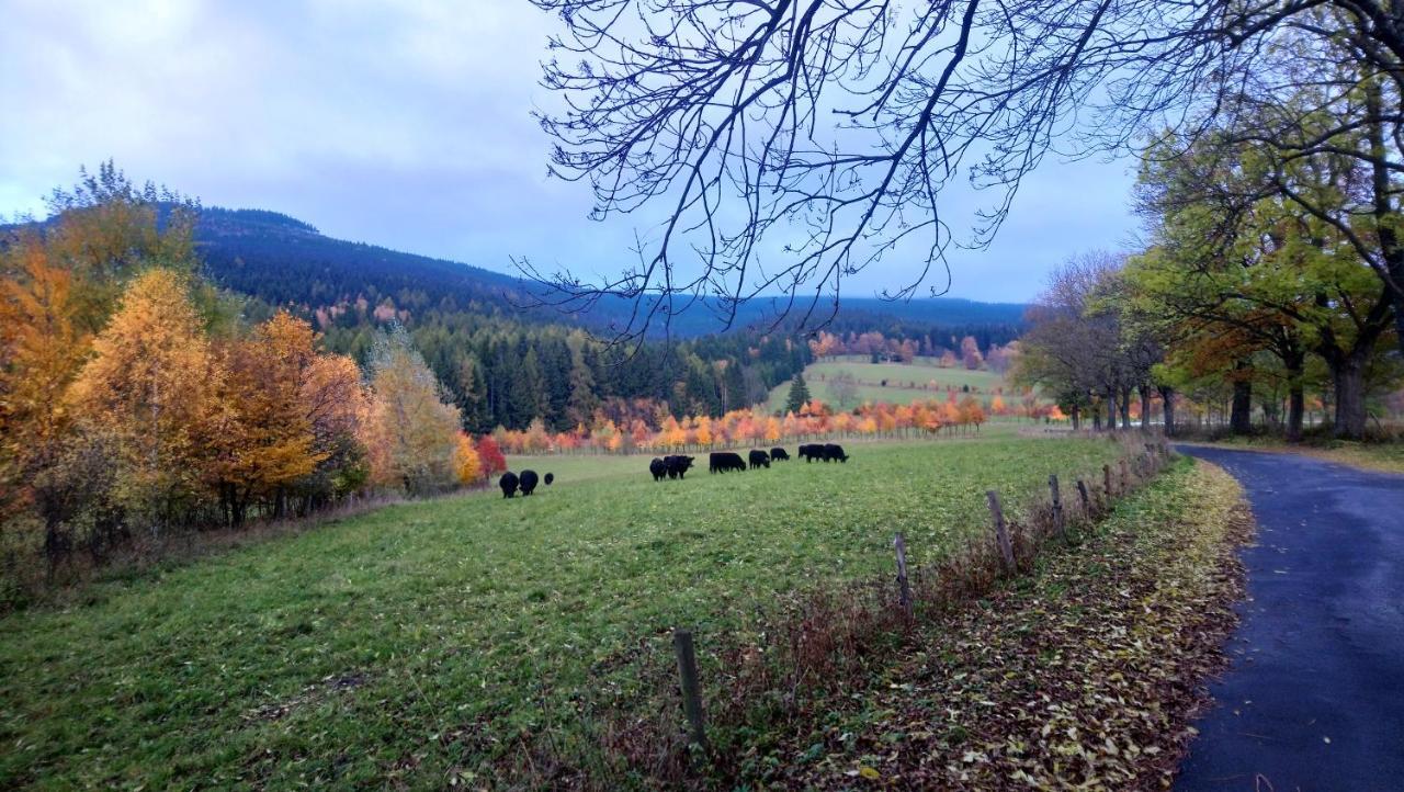 Appartamento U Staré hájenky Jindrichov Esterno foto