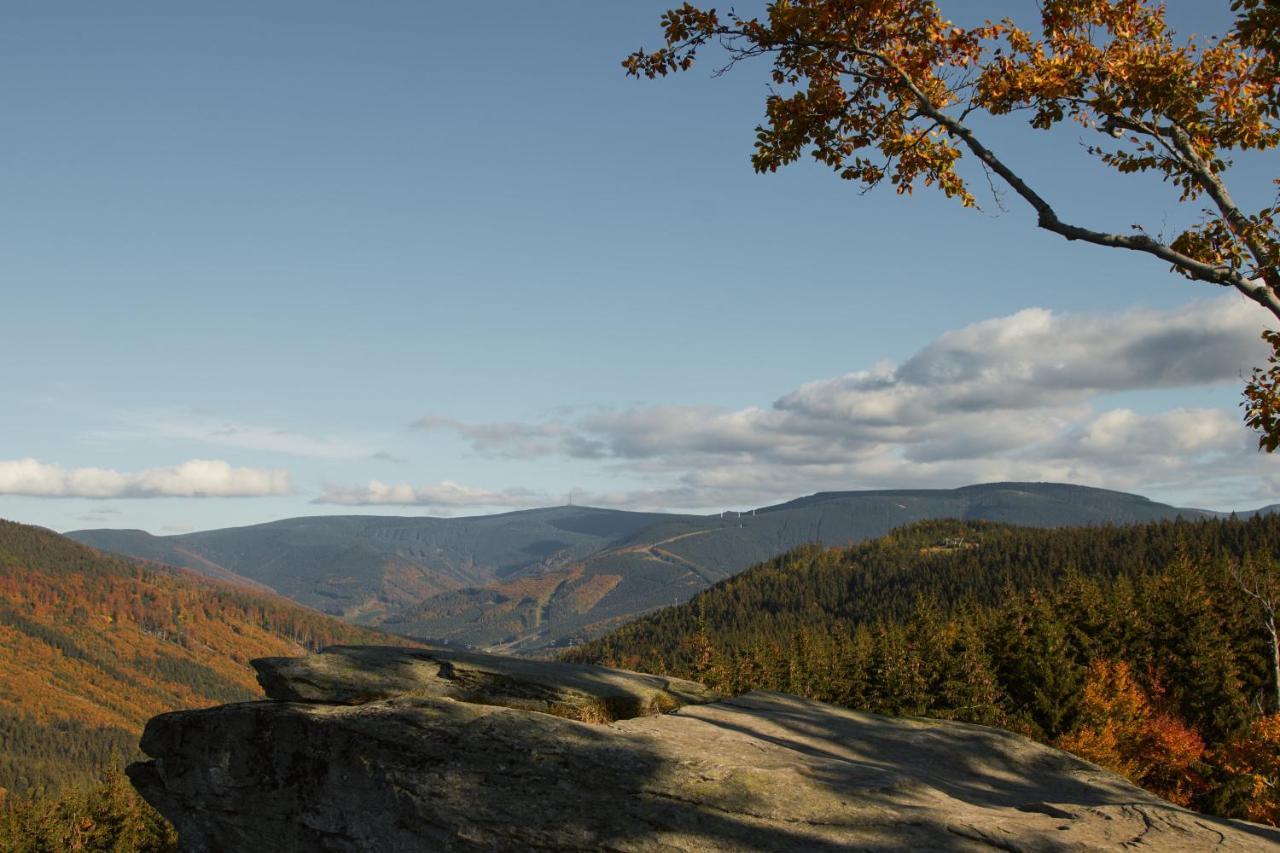 Appartamento U Staré hájenky Jindrichov Esterno foto