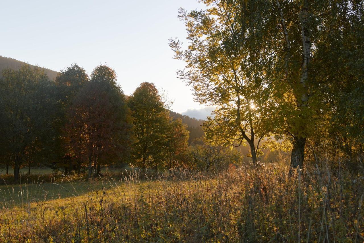 Appartamento U Staré hájenky Jindrichov Esterno foto