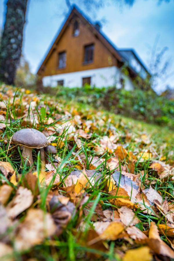 Appartamento U Staré hájenky Jindrichov Esterno foto